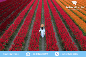 Dalat Flower Highland