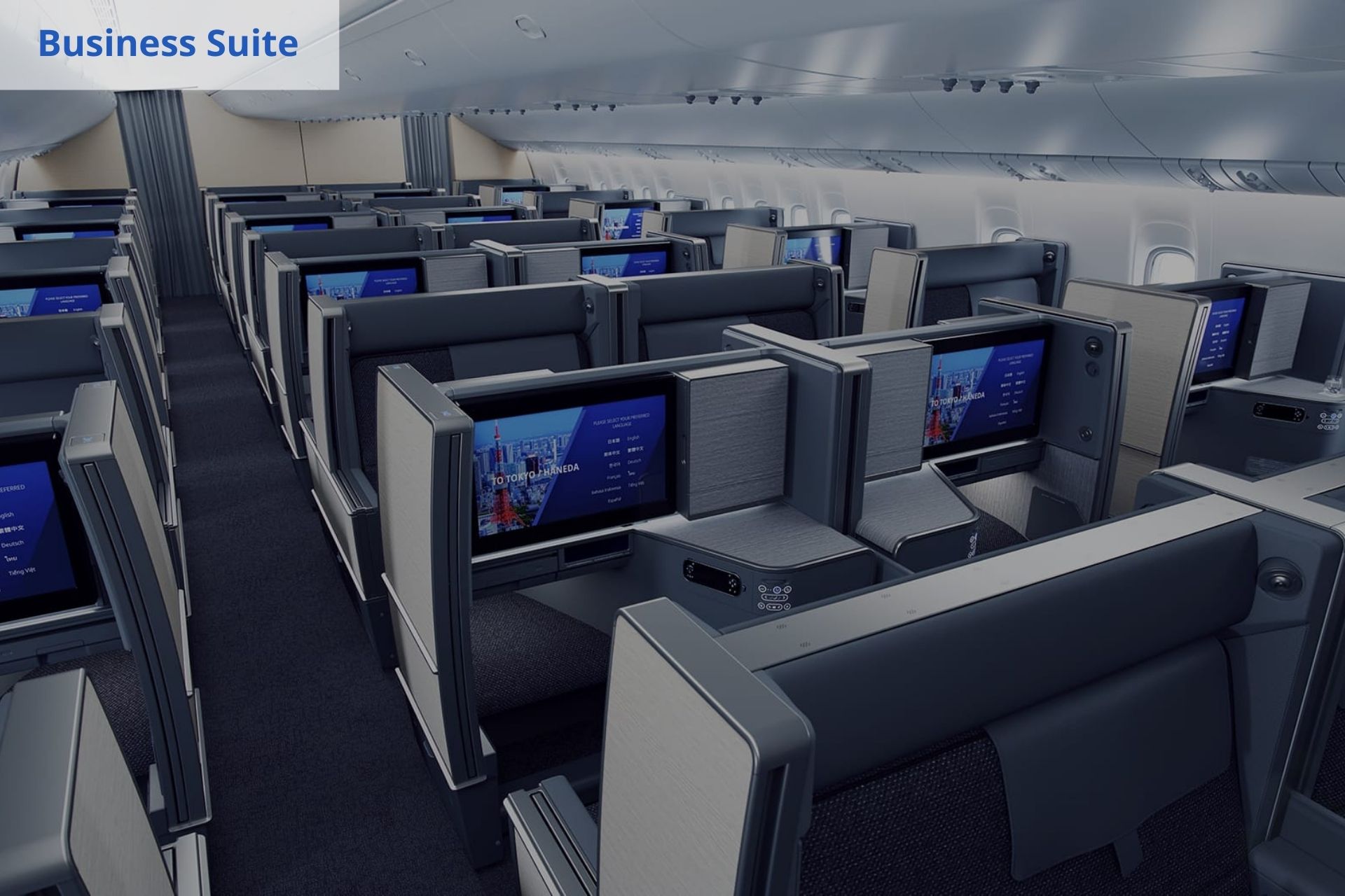 ANA airlines Business Suite