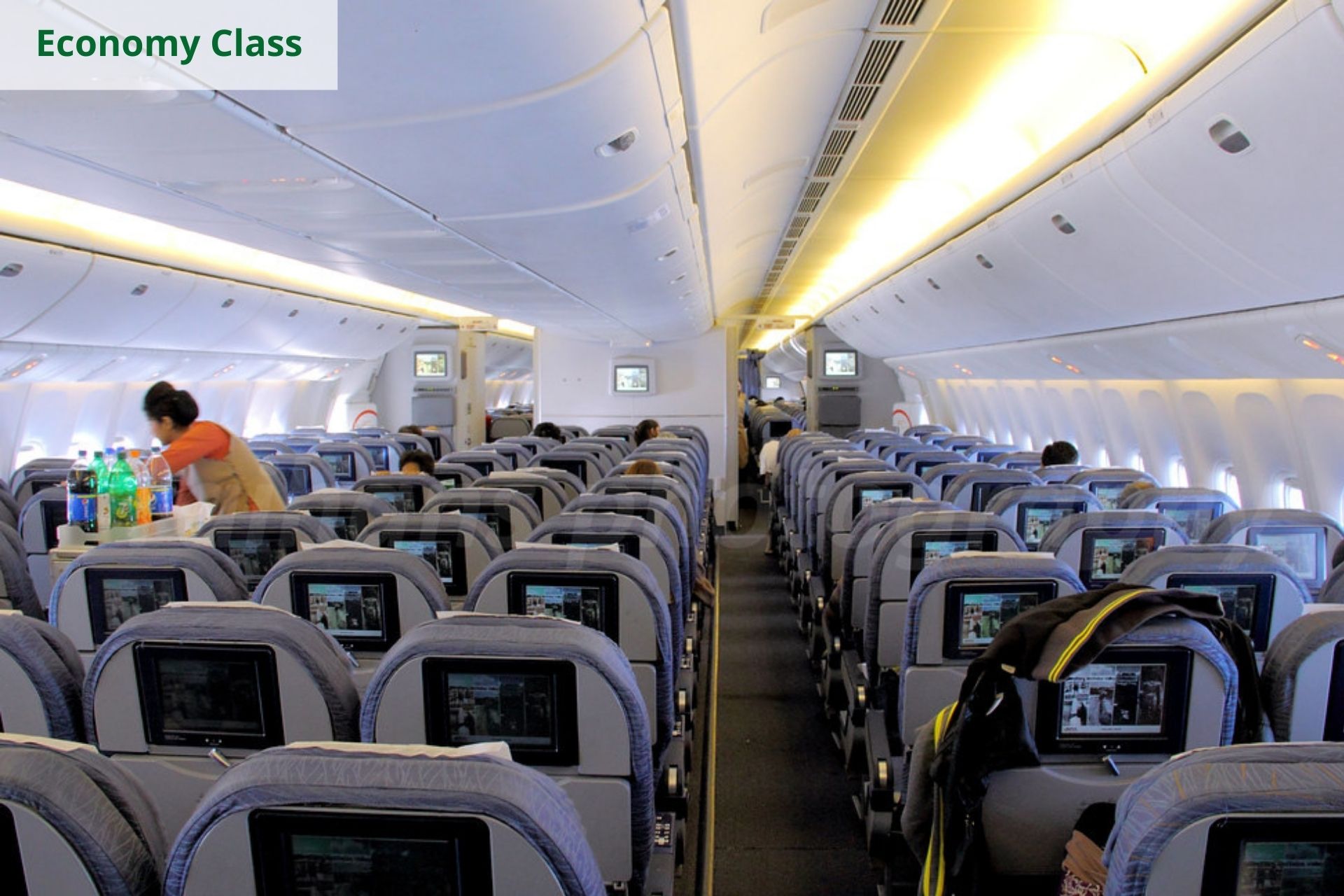 Pakistan International Airlines Economy Class