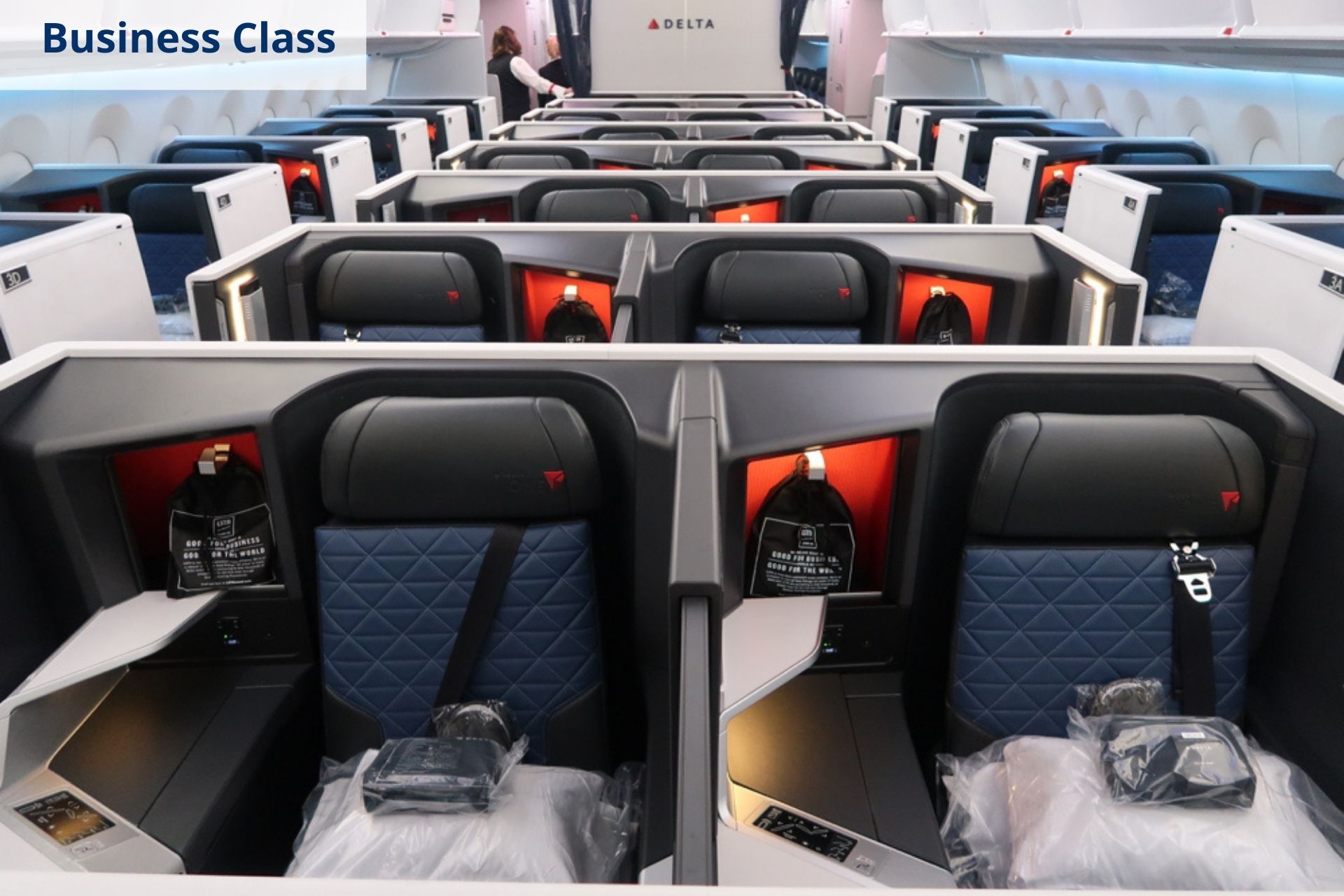Delta Airlines business class
