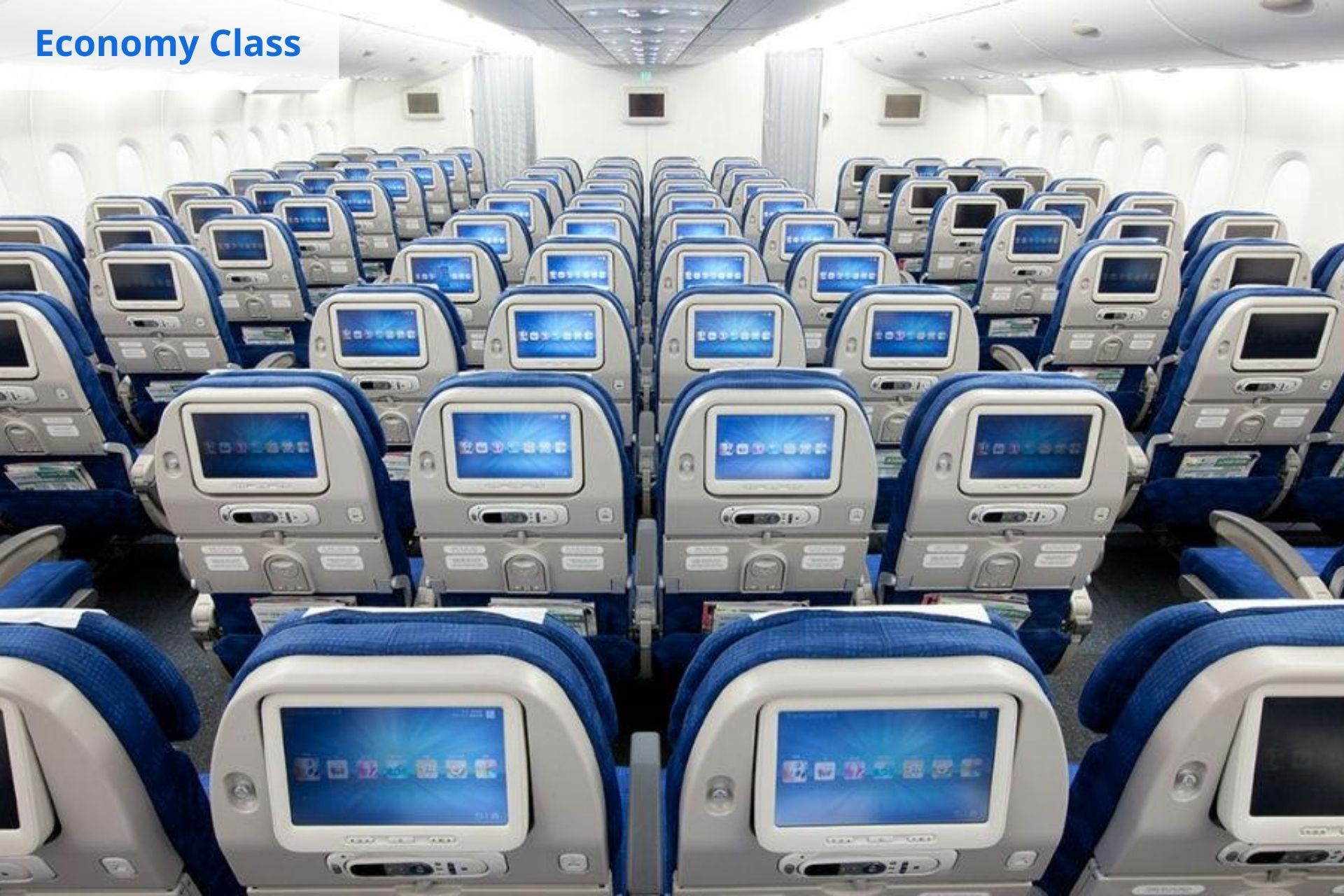 Korean Air economy class
