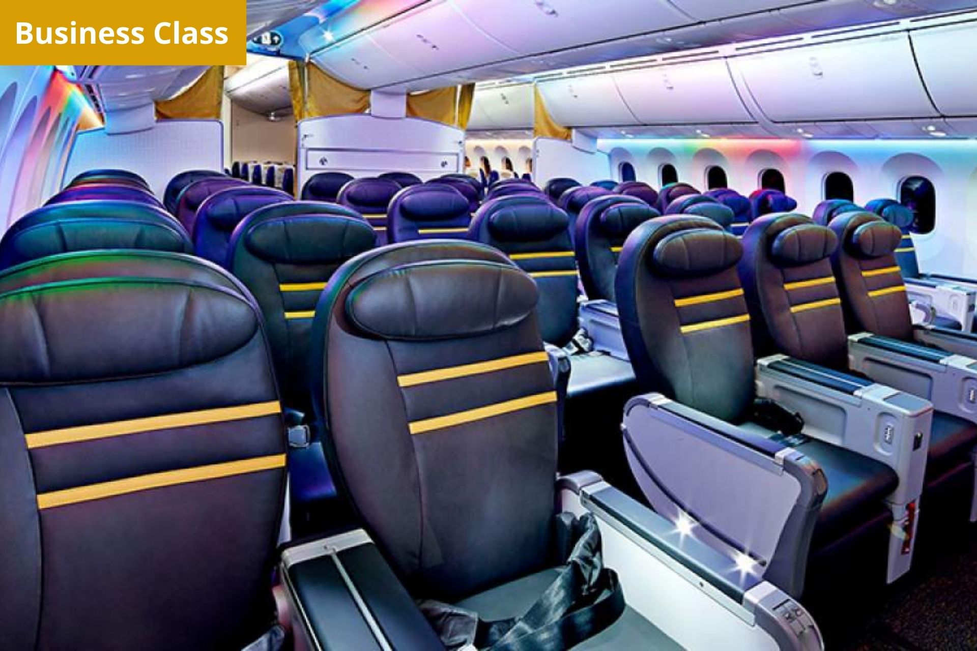 Scoot Airlines business class