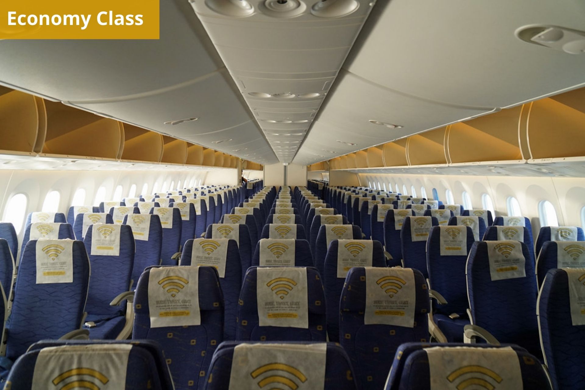 Scoot Airlines economy class