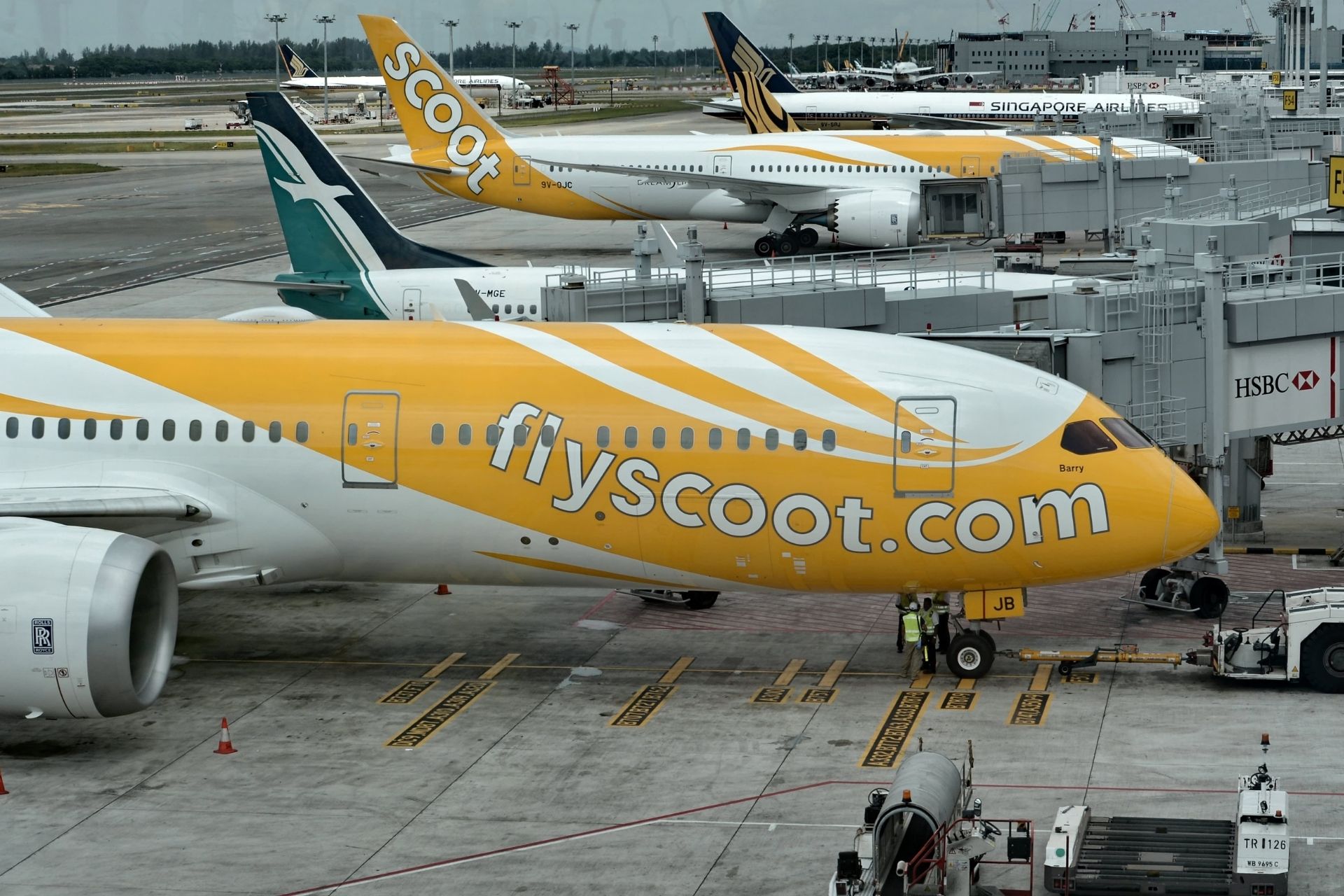 Scoot Airlines planes
